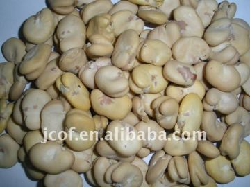 PEELED BROAD BEANS WHOLE GRAIN(656)