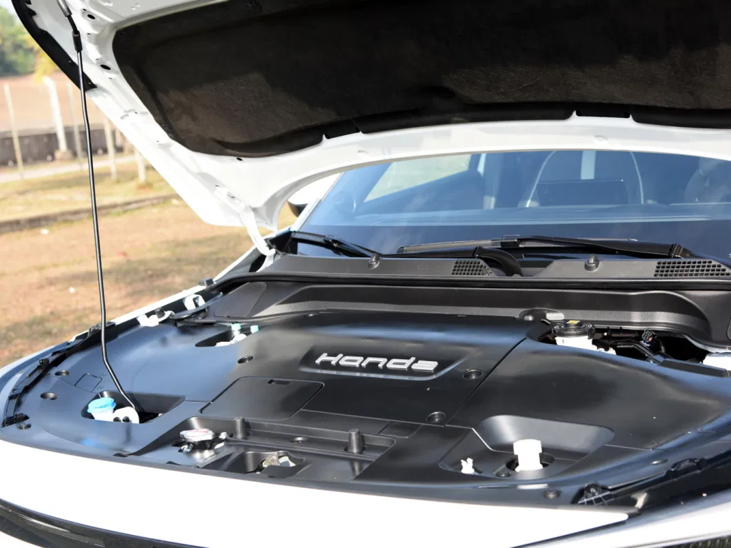 2022 New Energy Vehicles E: Ns1 E-Jing Version5 Doors 5 Seat EV SUV for Sale