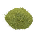 Poudre de Matcha Certifié Biologique