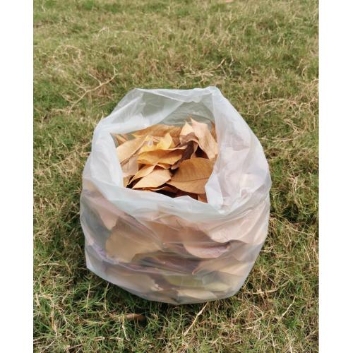 Sacs de collecte de feuilles pour pelouse de jardin compostables ASTM D6400