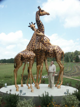 High Quality Bronze Giraffe Statue Made in China