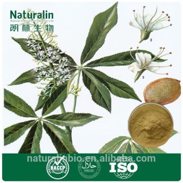 horse chestnut seed extract,natural horse chestnut extract,semen aesculi