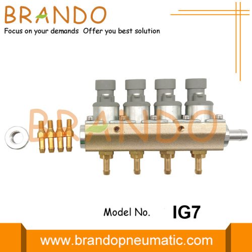 4-cylindrowy LPG CNG IG7 Dakota Injector Rail