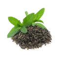 Extrait de thé vert biologique Polyphénols EGCG