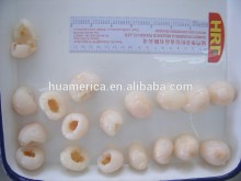 567g canned lychee/lichi in heavy syrup