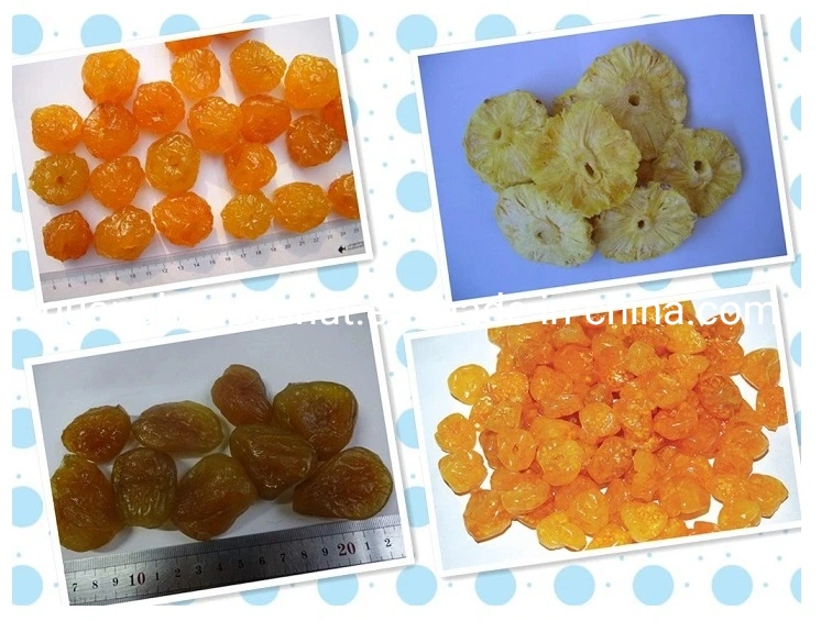 High Quality Dried Apricots with Ce