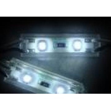 2LEDs  WP Lighting Module