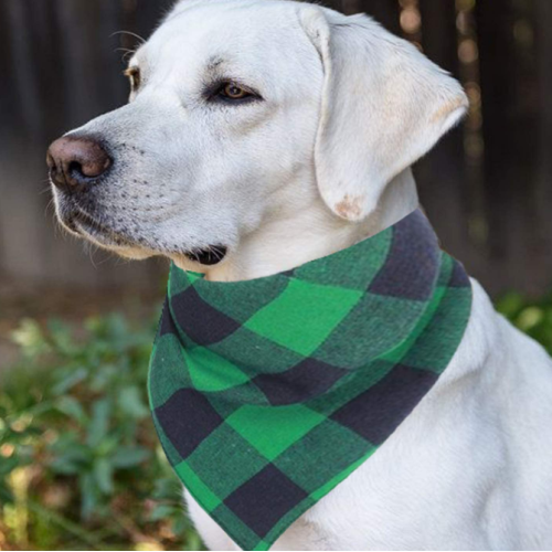 Anjing Bandana PET Scarf Classic Plaid