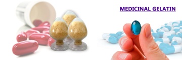 Pharmaceutical gelatin for oil soft