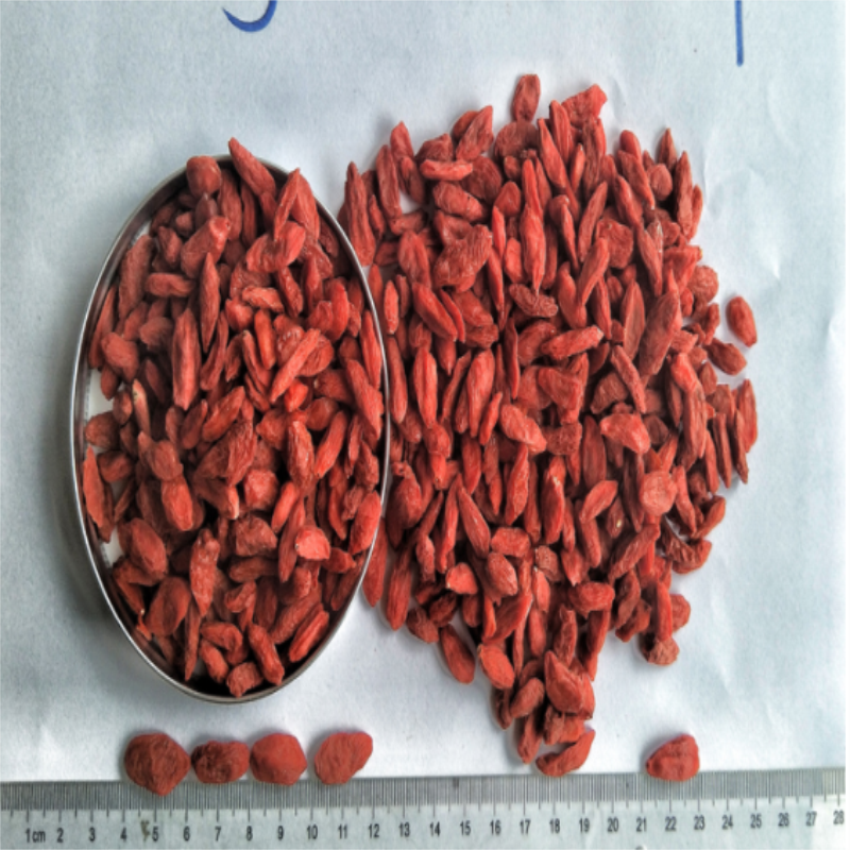 Πιστοποιημένη ζεστή πώληση Αποξηραμένα βιολογικά κόκκινα μούρα Goji / wolfberry