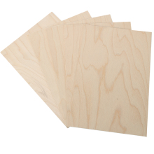 CE Certified Full Birch Plywood: Enhancing Home Decorations