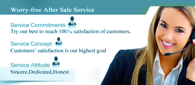 Curtain Side Truck Trailer Pull Down Locking Buckle Strap Fixed End With Combi Hook Steel