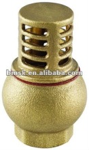 brass check valve, valve, check valve, brass valve, air compressor check valve, swing check valve, spring check valve