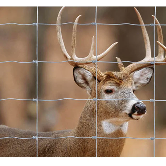 Sheep High Quality Galvanized Sheep Field Fence