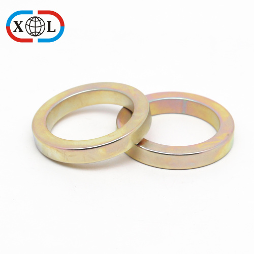 Radial Ring Magnet For Motor Product
