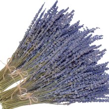 Yuntu Dried Lavender Flowers - Hot Sale for Boho Home Decor