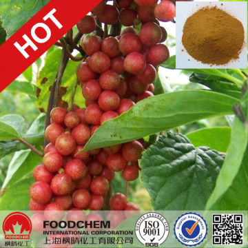 High Quality Schisandra Chinensis Extract 9% Schisandrins