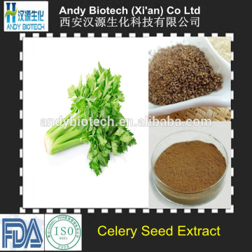 China Organic Celery Seed Extract Powder