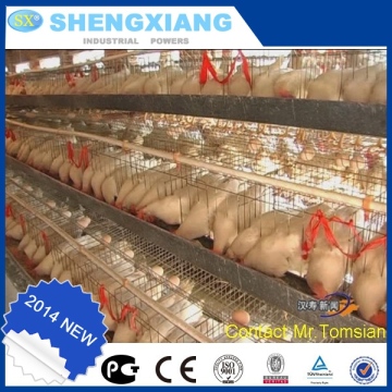 poultry chicken cages / layer chicken cage