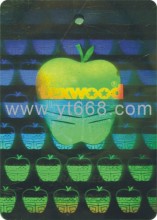 3D hologram security sticker