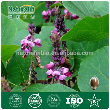 Natural Pueraria/Kudzu root Extract with High Quality
