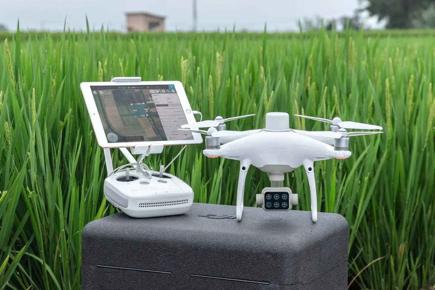DJI P4 Multispectral for plant intelligence Targeted Action drone with camera Phantom 4 Multispectral for agriculture survey