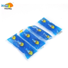 Reusable Blue Freezer Packs & Ice Packs