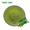 Organic Green Vegetable Powder Spinach Extract Powder