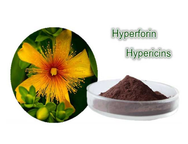 Hypericum Perforatum Extract Png