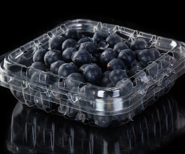 Tujuan umum 125g blueberry punnet untuk pasar