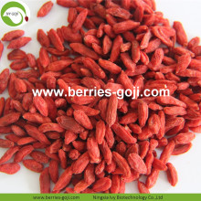 คุณภาพดีที่สุดขายส่งแห้งต่ำ Goji Berry สารกำจัดศัตรูพืช