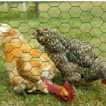 Chicken Mesh Hexagonal Mesh