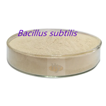 feed additive Bacillus subtilis insoluble water 400CFU/G