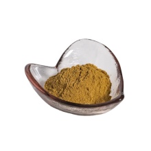 Best Price Gold Factory Provide Oyster Shell Powder