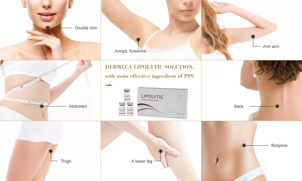 Dermeca Solucion Lipolitica Para Adelgazar Mesoterapia Solucion Coctel Lipolisis 5 ml / Vial Inyeccion Para Adelgazar