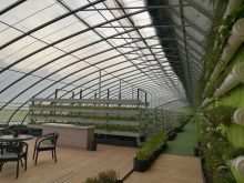 A-Type Stereo Cultivation Rack