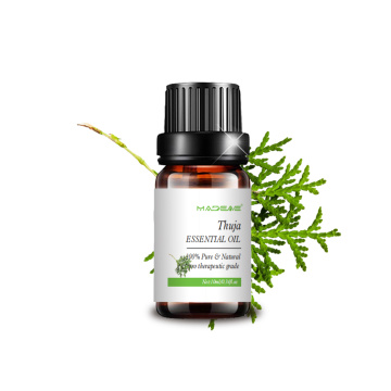 Huile essentielle de thuja soluble pour les soins de la peau