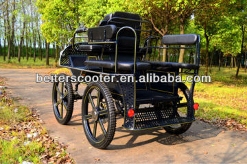 coche de caballos maraton