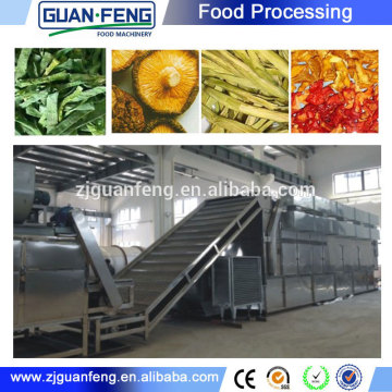 vegetables dehydraton processing line