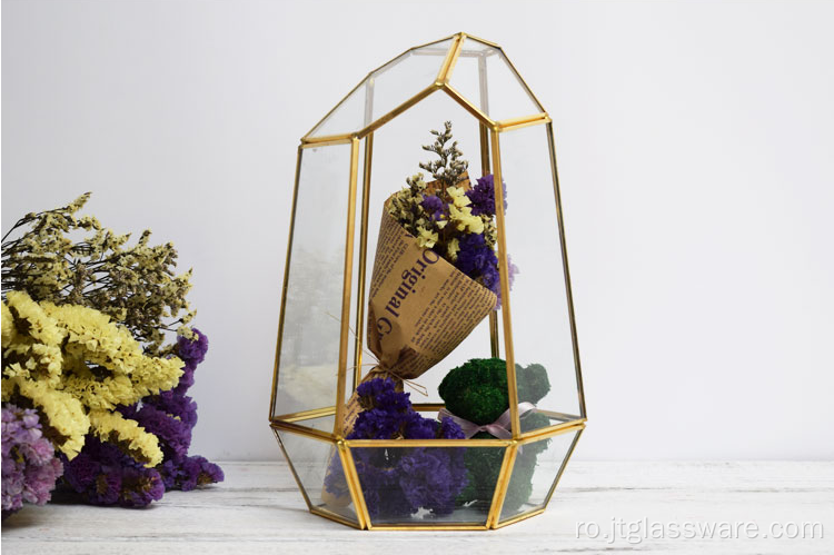 Vase din sticlă cu terariu transparent din sticlă geometrică