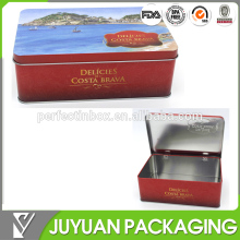 Square metal tin storage box with hinged lid for cookie