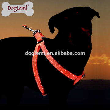 Reflecting Neon safety harness for dog