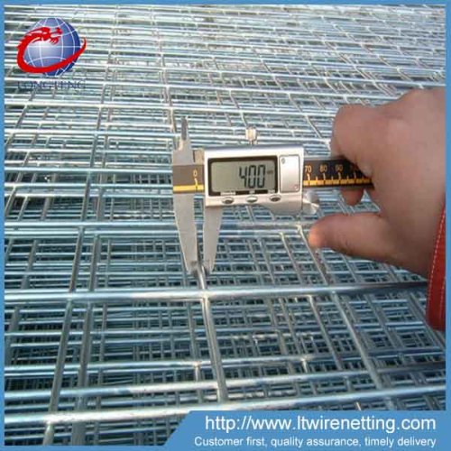 hot sale 2x2 galvanized welded wire mesh panel for mice