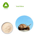 Hautpflege Anti-Falten-Materialien Snail-Schleimextraktpulver