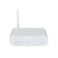 1Ge+Wifi Xpon Onu Router Bridge