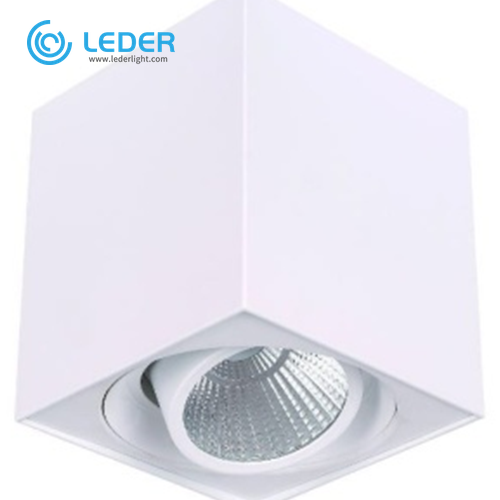 LEDER Surface Mounted White 10W LED Downlight