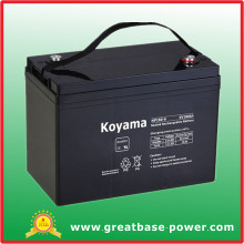 Rechargeable Battery Electric Power Storage Battery Backup Battery 180ah 6V