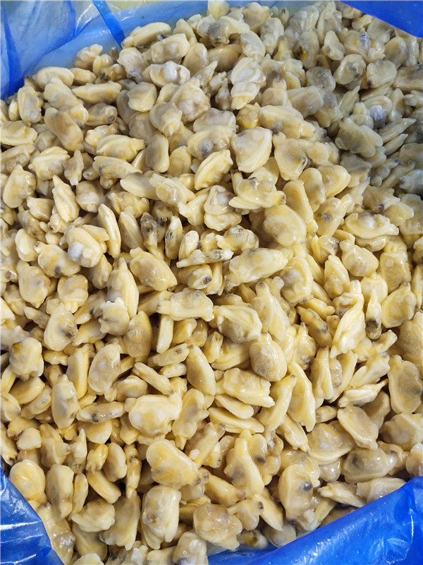 Świeży zamrożony małż gotowany gotowany na krótki czas szyjki