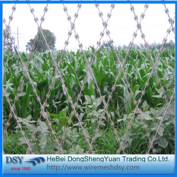 Flat Razor Wire Fence Connected By Clips