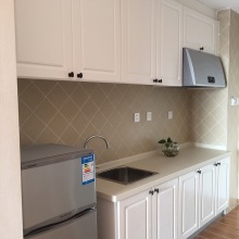 Modern Shaker Kitchen Cabinets in Turkey: Light Gray Cabinets